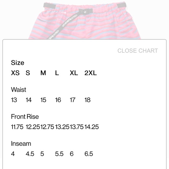 Undefeated Baggy Short - Picture 7 of 7